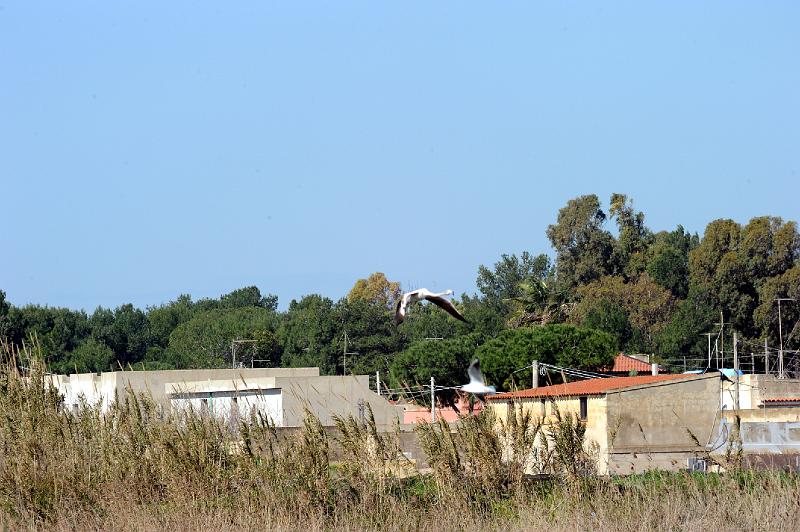 27.2.2011 MARZAMEMI E PRANZO SOCIALE (48).jpg